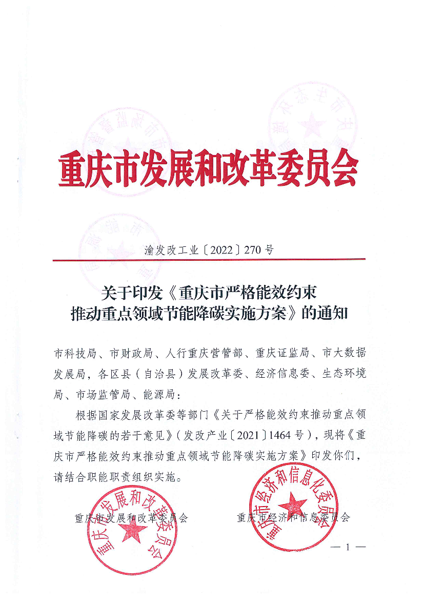 关于印发《重庆市严格能效约束推动重点领域节能降碳实施方案 ...