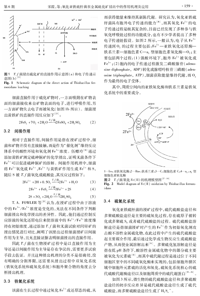 作者：宋霞 · 2021 生物浸矿技术炼铜的能耗、温室气体排放、硫排放和产. 生的有毒副产品仅相当于火法炼铜的43.2%、45.2%、. 5.1%和5.0%［2］。生物浸出技术不仅应用于高品位.