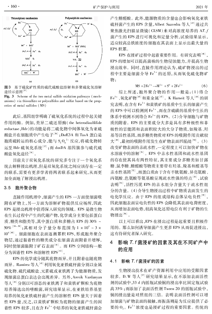 作者：宋霞 · 2021 生物浸矿技术炼铜的能耗、温室气体排放、硫排放和产. 生的有毒副产品仅相当于火法炼铜的43.2%、45.2%、. 5.1%和5.0%［2］。生物浸出技术不仅应用于高品位.
