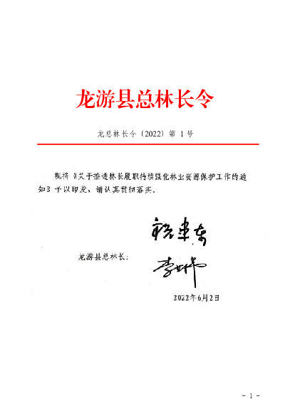 龙游县总林长令