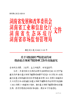 关于切实做好严格能效约束推动重点领域节能降碳工作的实施意见